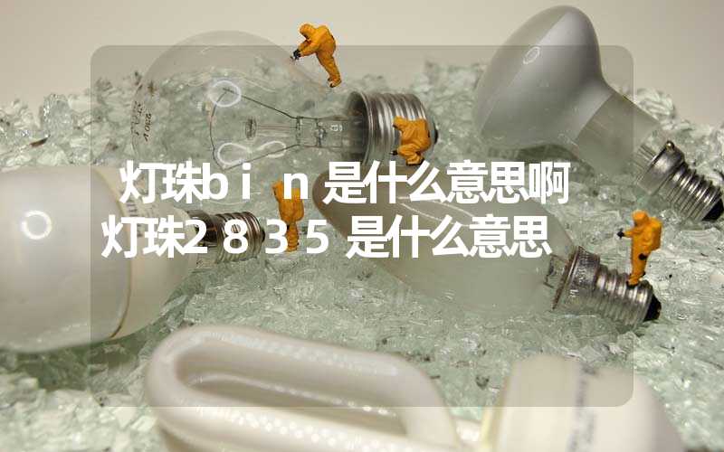 灯珠bin是什么意思啊 灯珠2835是什么意思